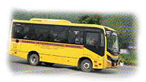 School Bus GIF