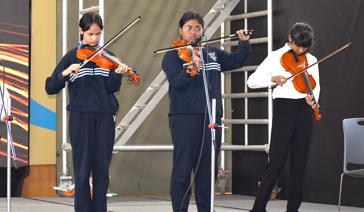 Violin